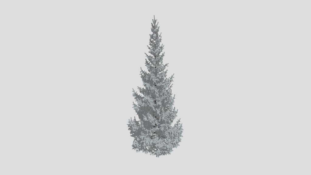 Norway Spruce Picea Abies 9 3m