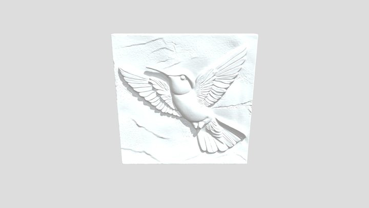 Hummingbird Elegance