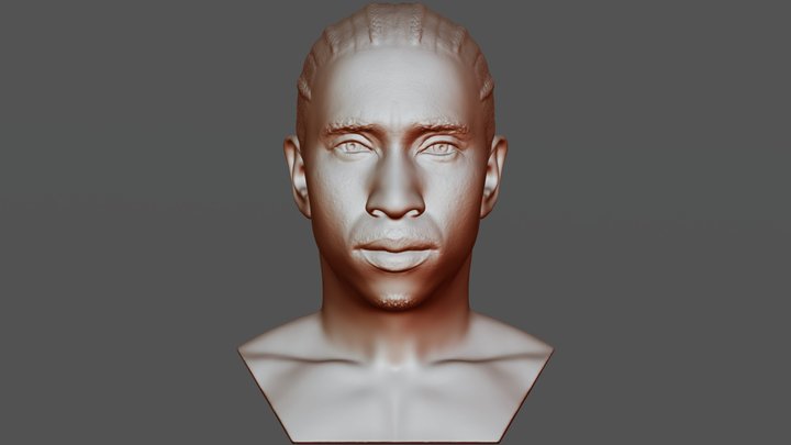 Tyga bust for 3D printing 3D Model