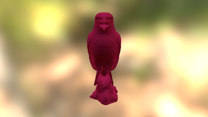 Hawk Complete Low Detail 3D Model