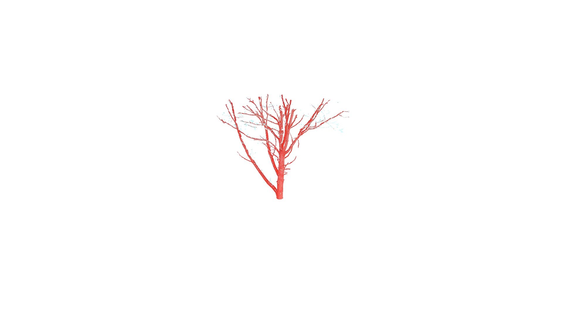 One Oak Tree - Central Section