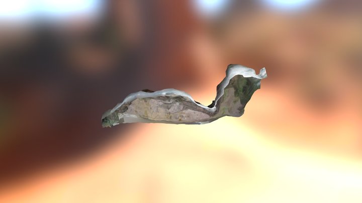 Arroyo Bapacuaro petrograbados 3D Model