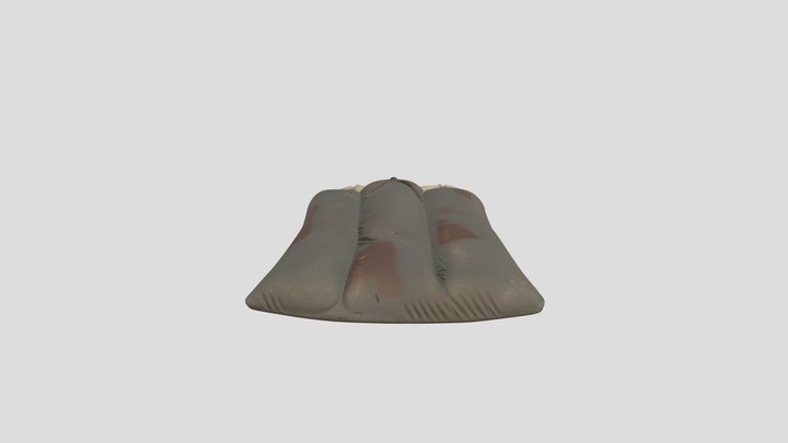 rust睡袋 3D Model