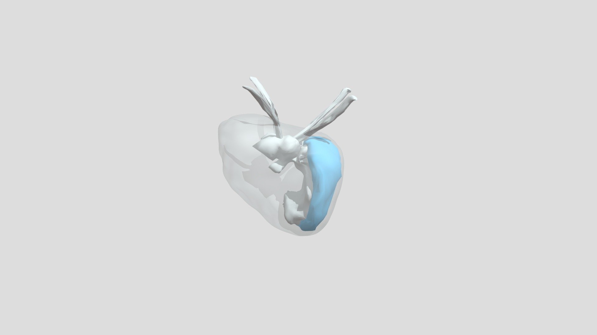 Melanocyte-stimulating hormone (α-Msh) - 3D model by annapaulacscherer ...
