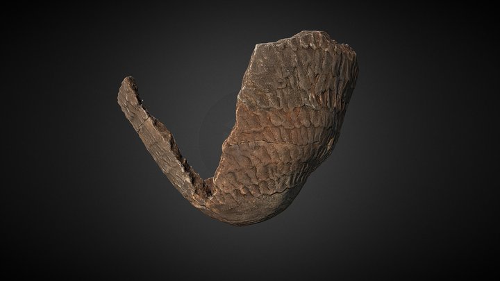 Vasilha de cerâmica Tupi 3D Model