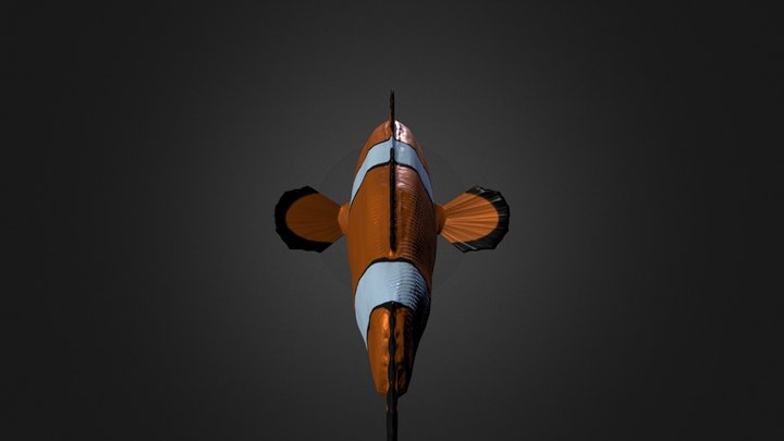 Clown Fish PBR test 3D Model