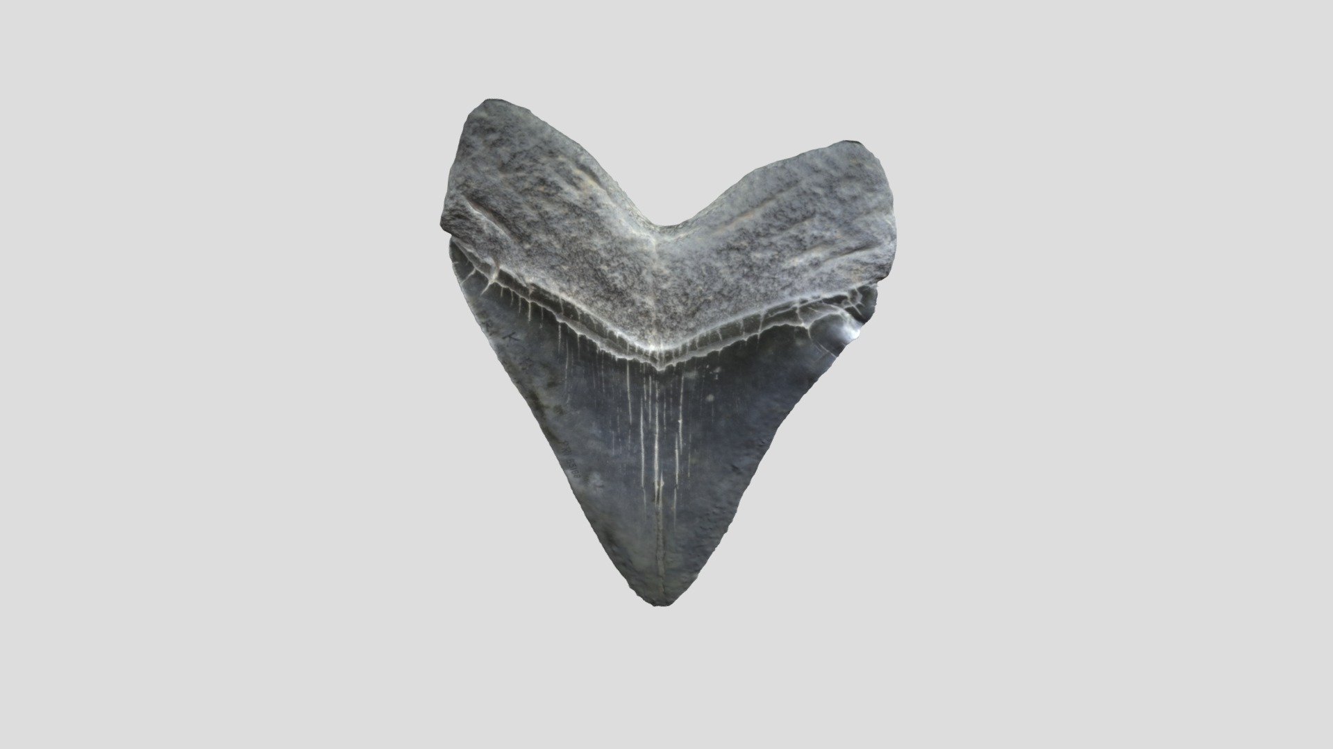Fossil 2