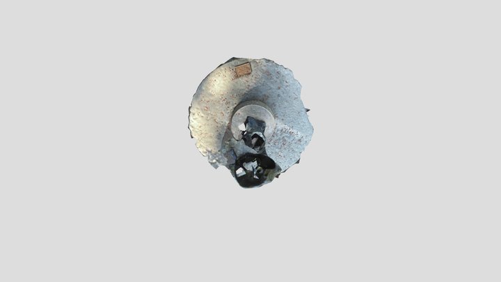 ELMO_PHOTOGRAMMETRY_01 3D Model