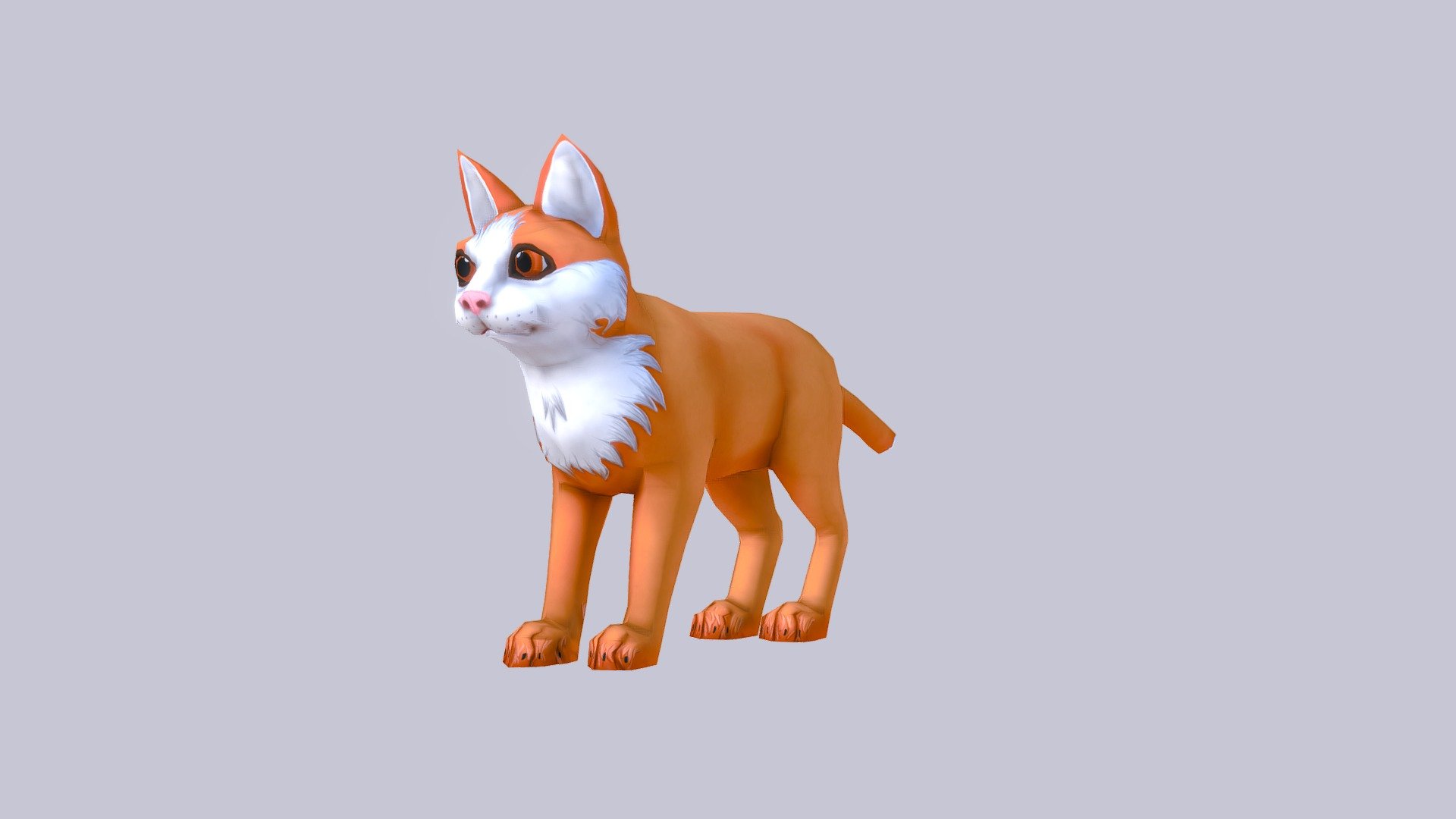 Base Cat animations - 3D model by RedDeer (@billl90) [6a1a041] - Sketchfab