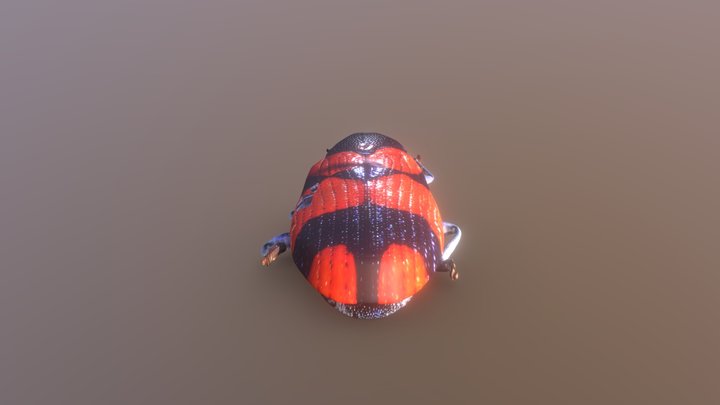 Insecto Furtivo 3D Model