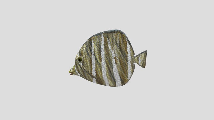 Fish 3D Model