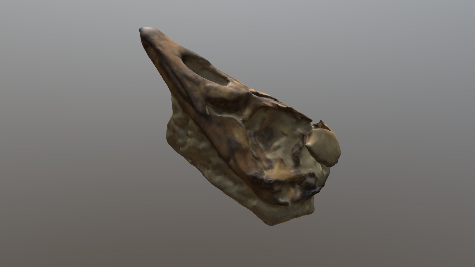 Goose Skull in Matrix (VCU_3D_4736)