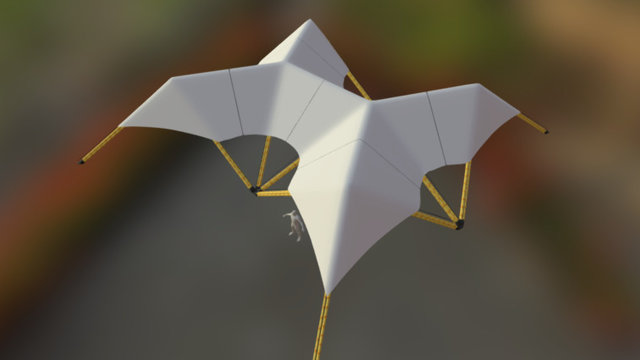 Bamboo