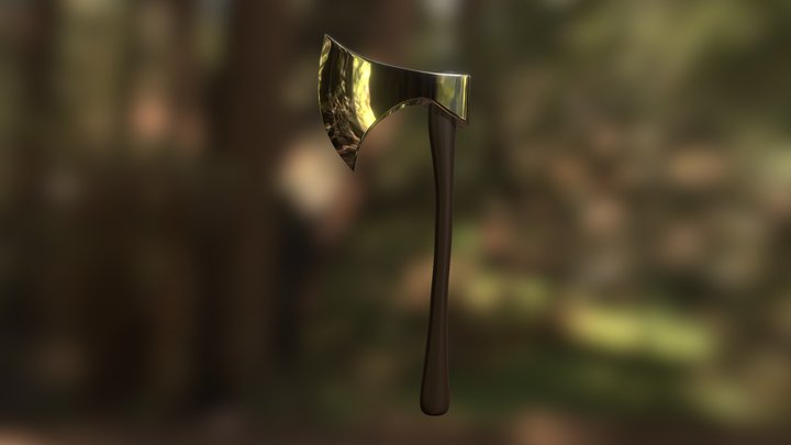 axe excercise 3D Model