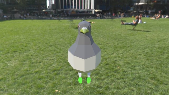 Pigeon 3D Model