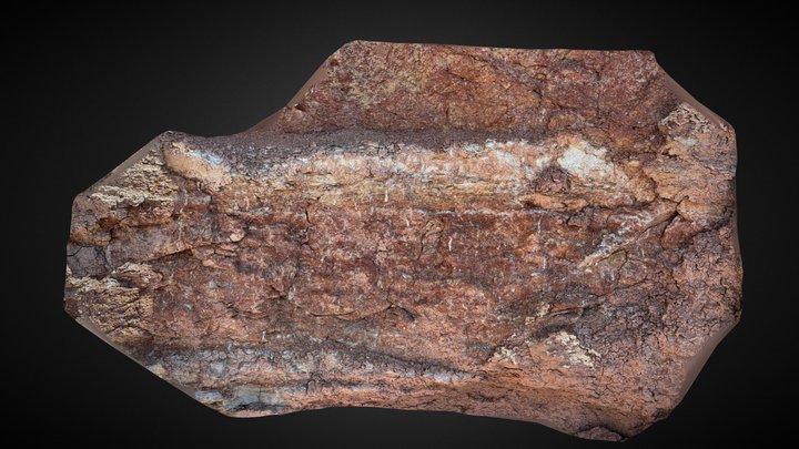 Burrows in an ancient soil 3D Model