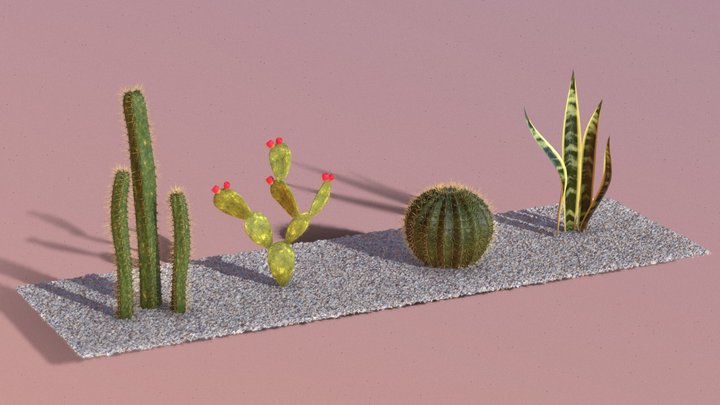 Free Realistic Succulent Plants Pack 3D Model