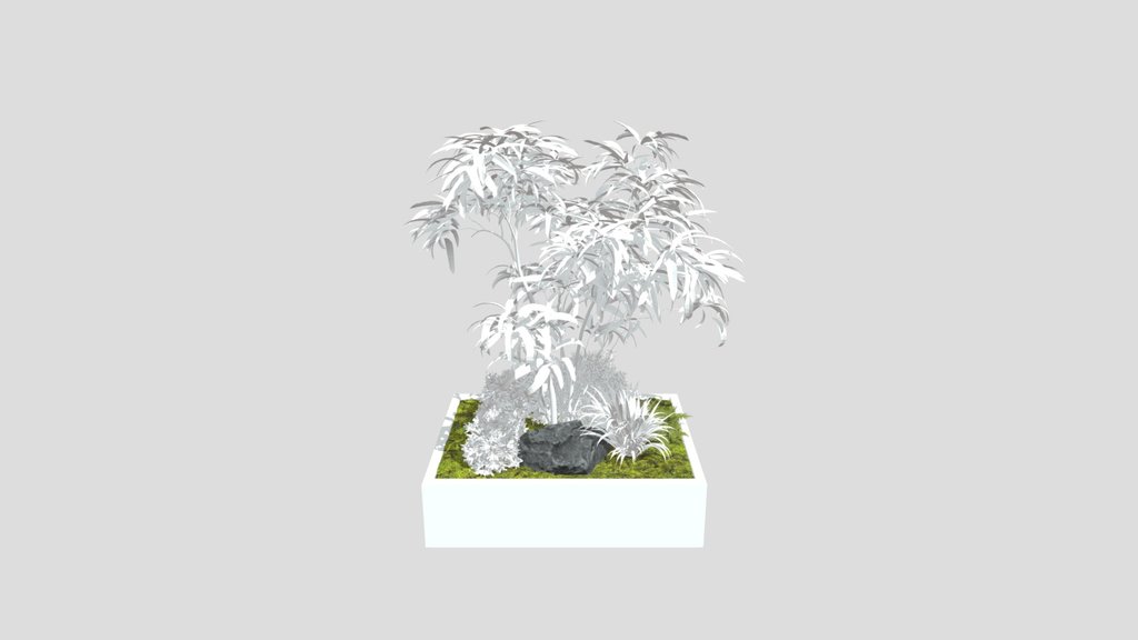 Minimal Courtyard Planter Tree
