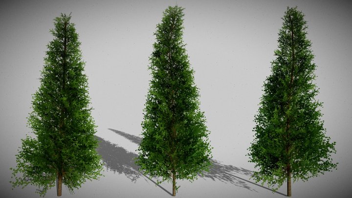 Low Poly Trees Free 3D Model