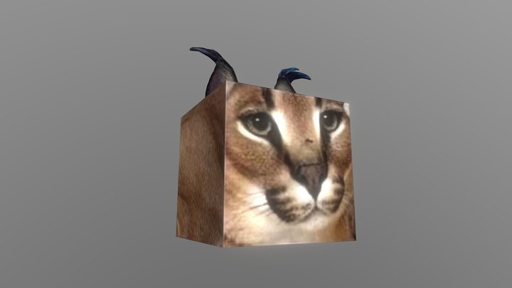 Floppa is cube