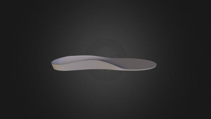 Left foot Insole  3D Model