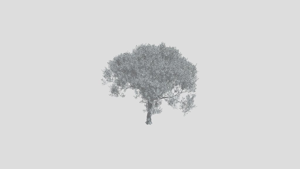 Olive Tree City Adult
