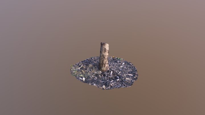 Generic Stump 3D Model