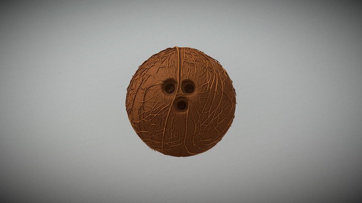 Stylized Coconut Prop – Tropical_T – Kostenloses 3D-Modell STL
