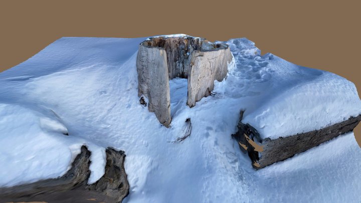 Old Tree Trunk by the frozen river 3D Model