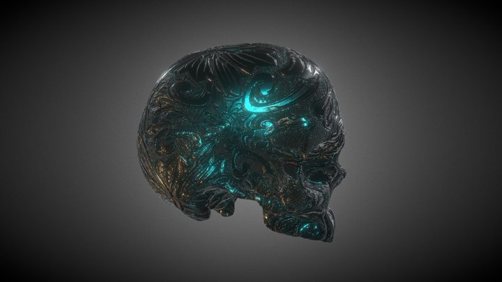 Free Human Skull 3D Model