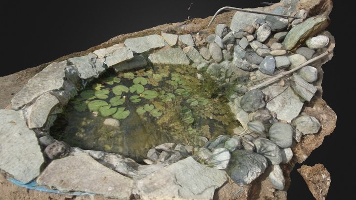 Small  water lily pond 3D Model