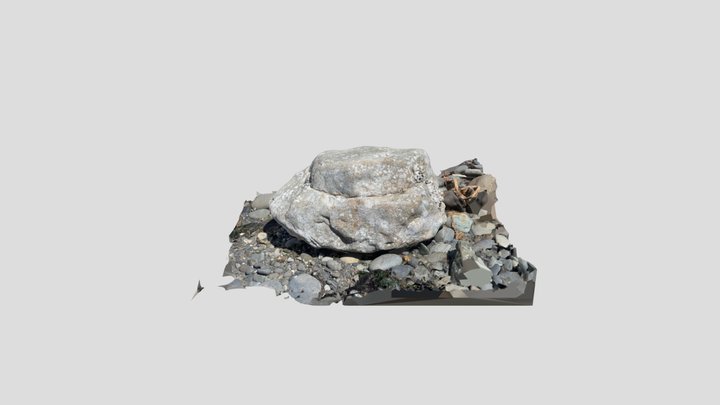 Barnacle Rock 02 3D Model