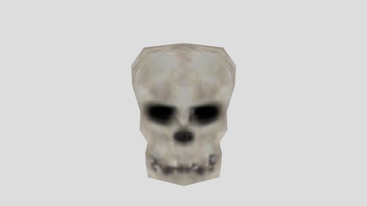 Skull 3D Model