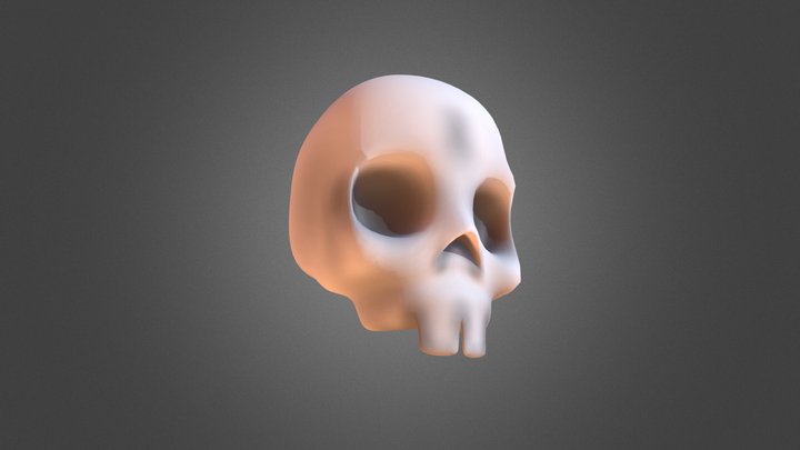 The Skull 3D Model