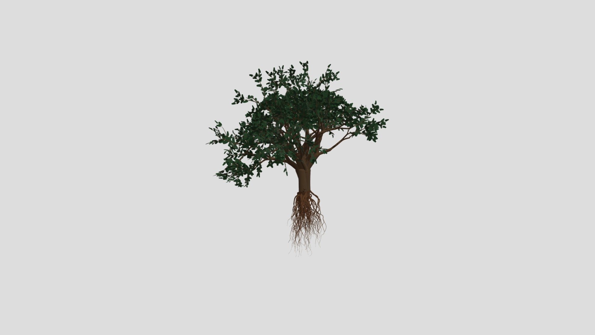 ARBOL FINAL