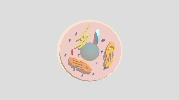 Cell For my class 3D Model