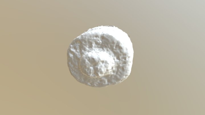 Vinapu - Pukao #5 3D Model
