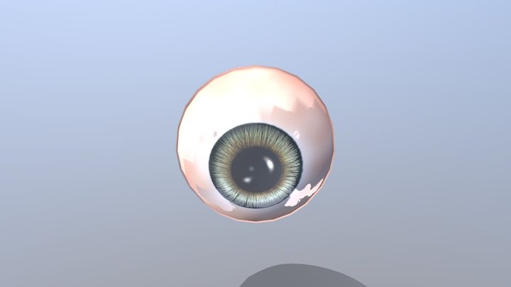 Human Eye 3D Model
