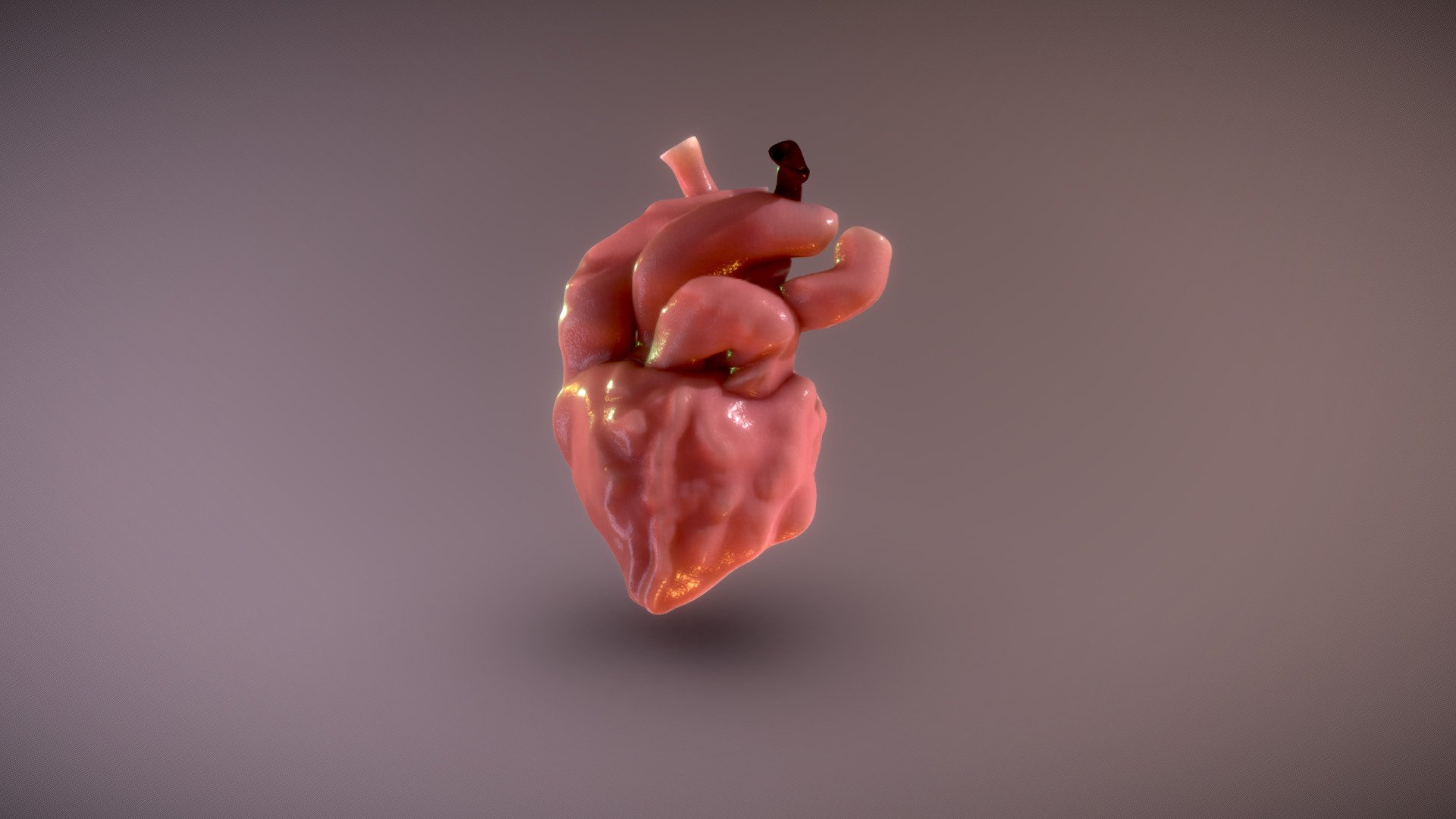 Heart - Texture Baked - Download Free 3D model by Smoothie 3D ...