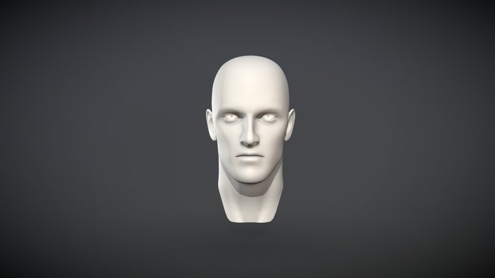 Male Head Base mesh 3D Model