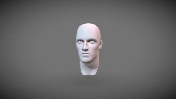 Male Head Base mesh 3D Model