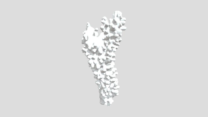 Coral-branch 3D Model