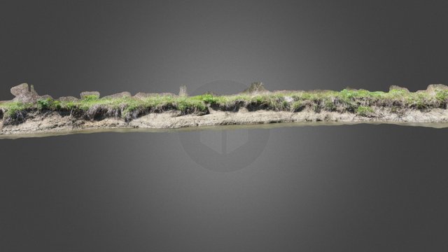 Butternut Creek, 2016-05-11; Stroh 3D Model