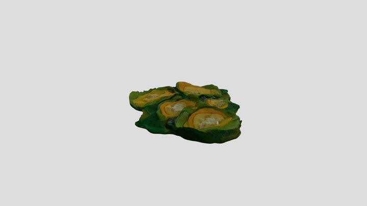 Lichen felt 3D Model