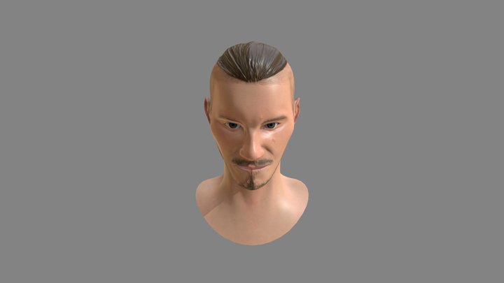 Bjorn Ironside Bust 3D Model