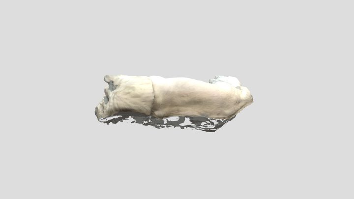 Textured_mesh_medpoly_glb 3D Model