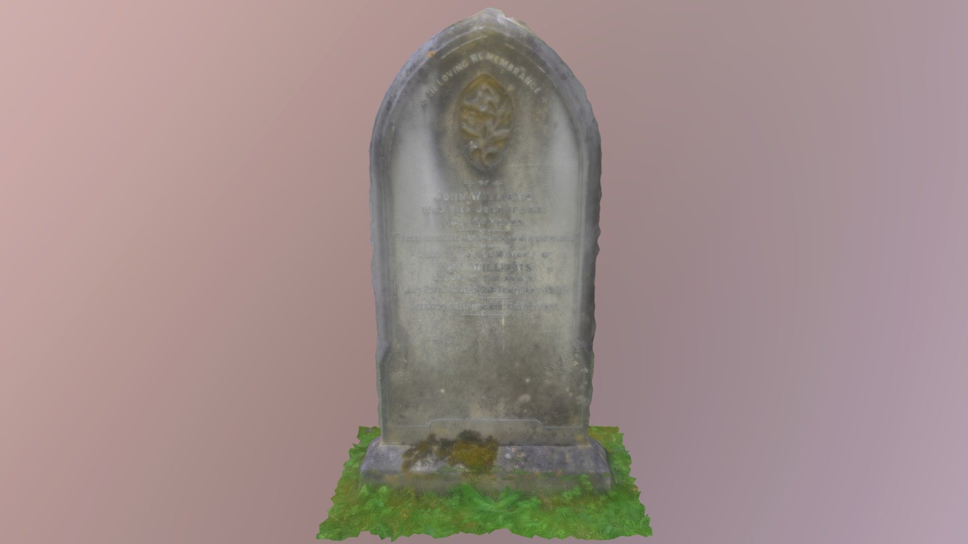 In loving remembrance of John Williams (1881)