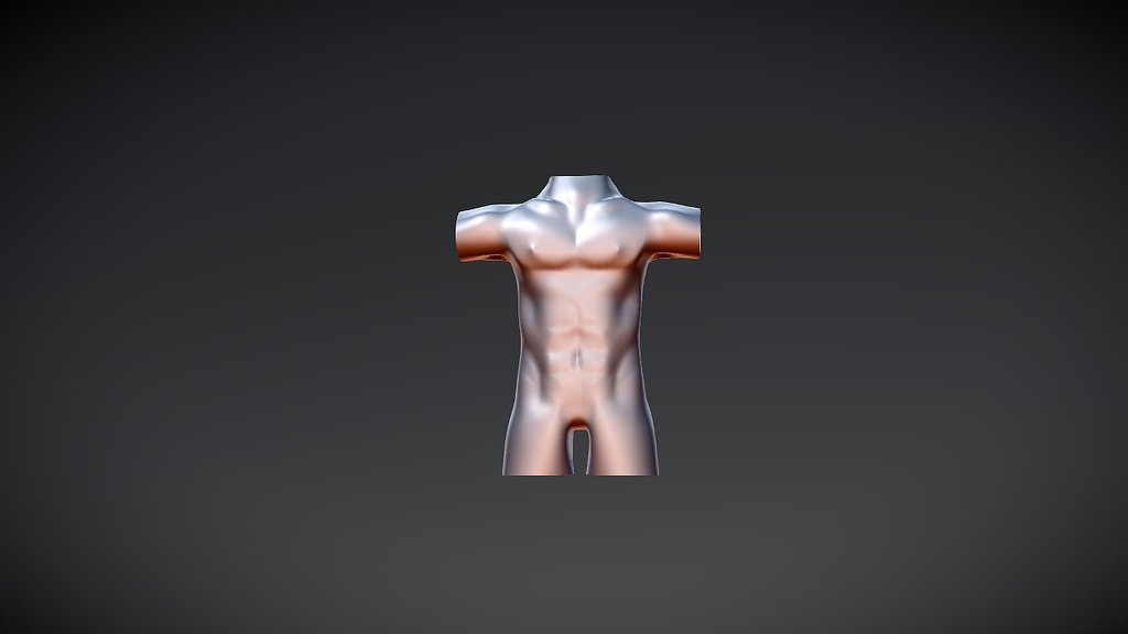 Human Body - 3D model by introstudio.de [6a55e75] - Sketchfab
