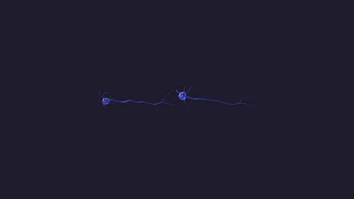 Neuronsample 3D Model