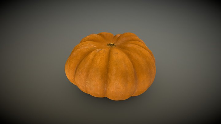 Pumpkin raw 3D Model